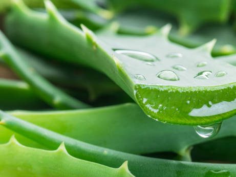 benefits of aloe vera